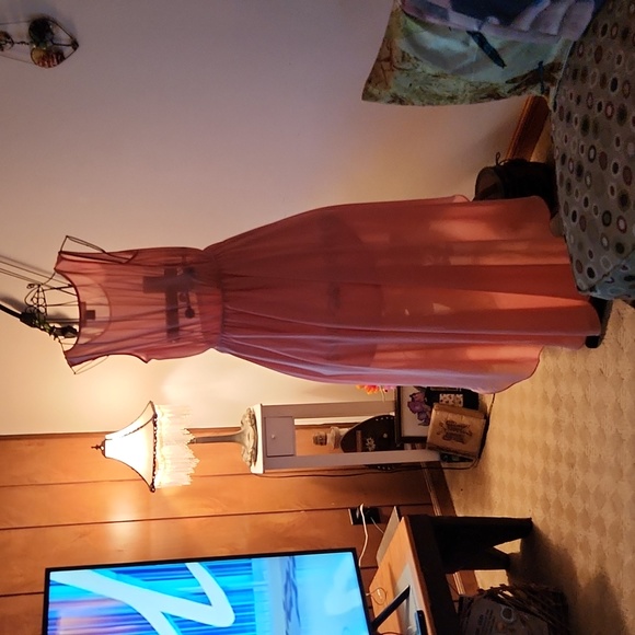 Sams Souci peach dress - Picture 8 of 8